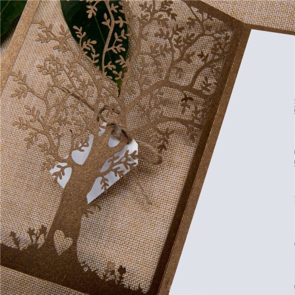 Lasse-cut single fold - Image 2